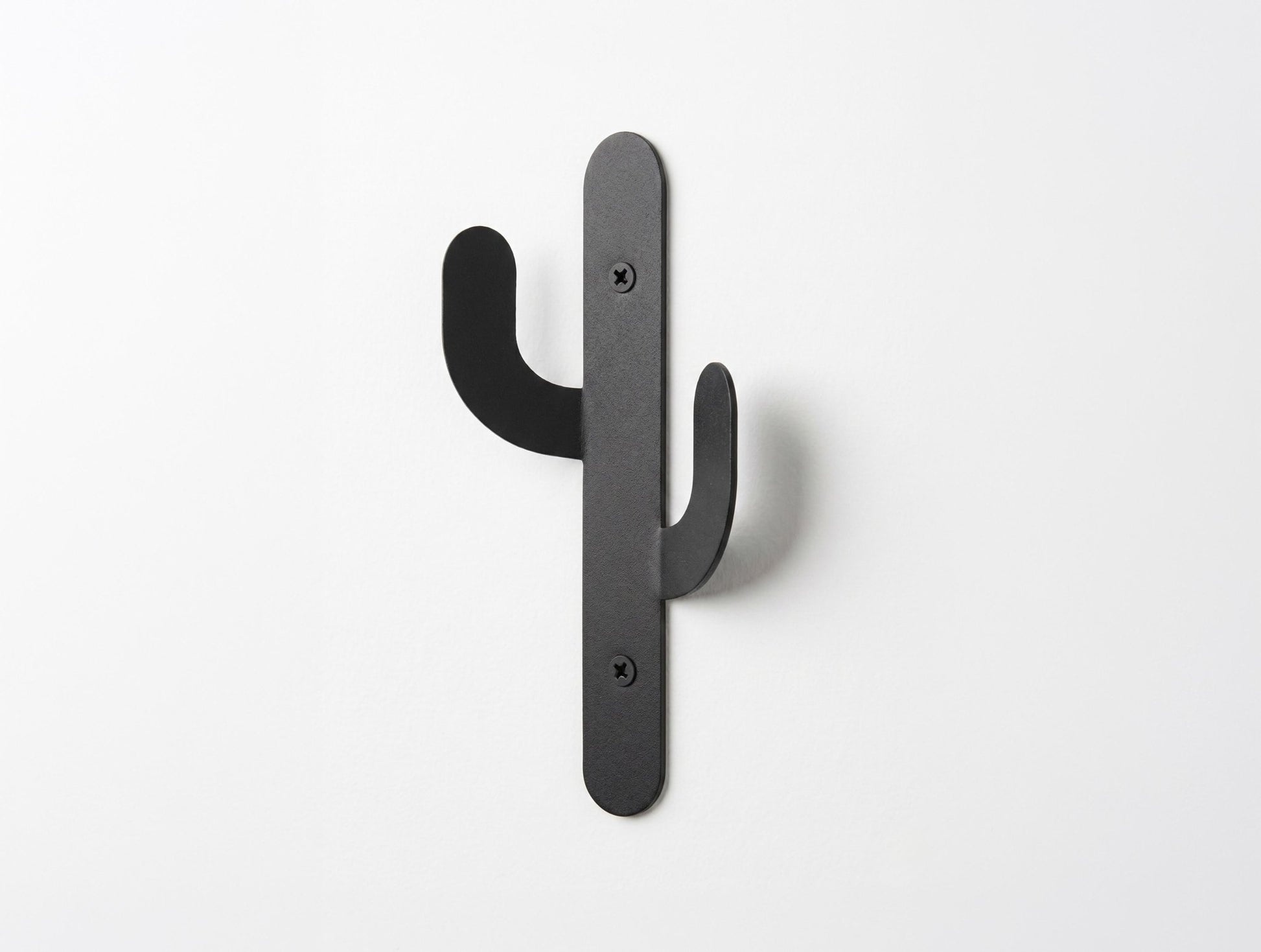 Cactus Hooks Metal Wall Art - MET - AL